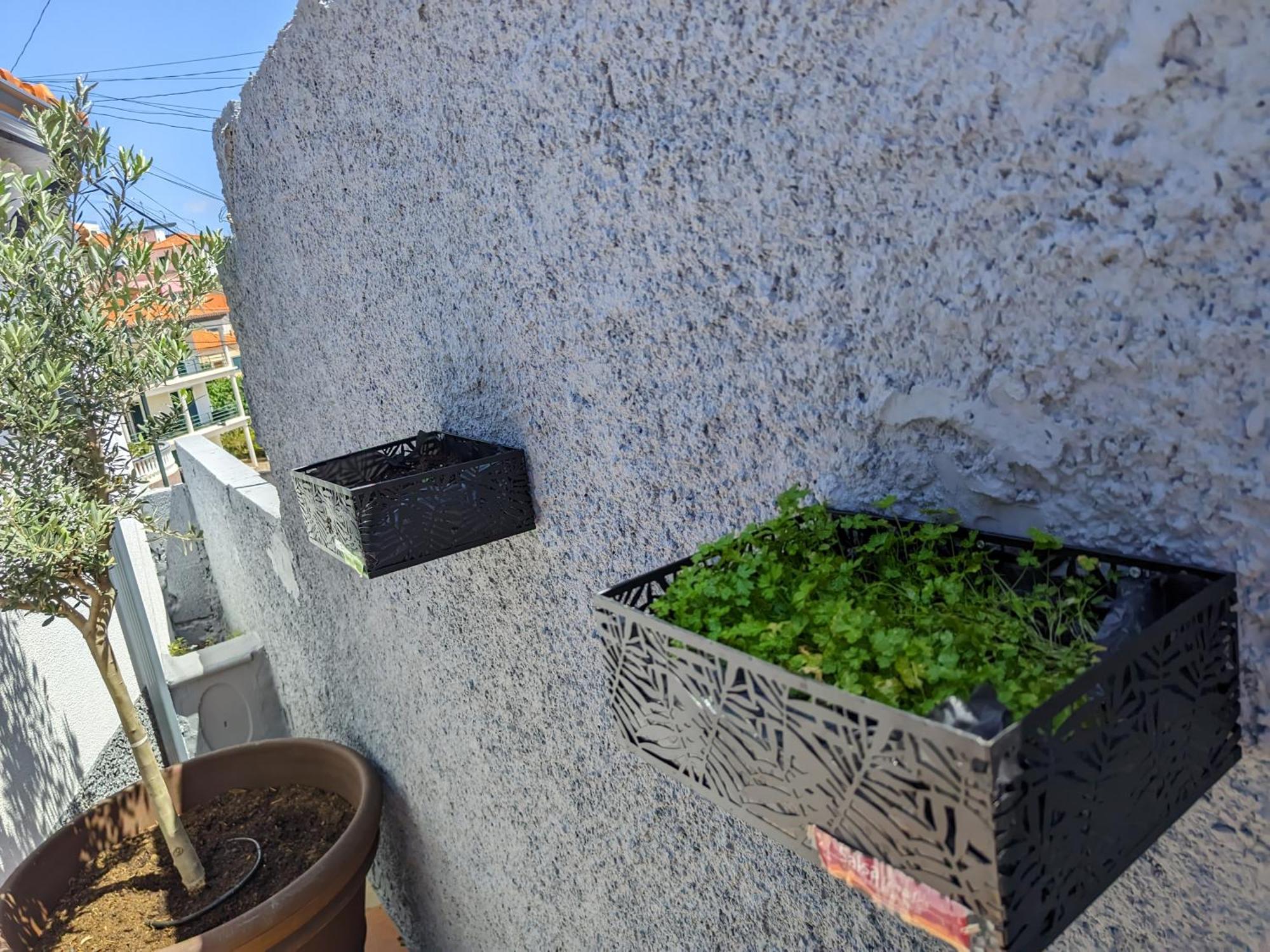 فيلا Casa Ascencao, Vista Mar Madeira فونشال المظهر الخارجي الصورة